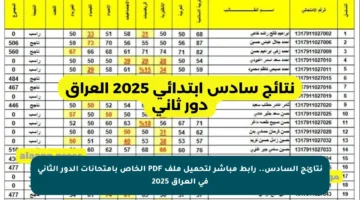 نتائج السادس.. رابط مباشر لتحميل ملف PDF الخاص بامتحانات الدور الثاني في العراق 2025